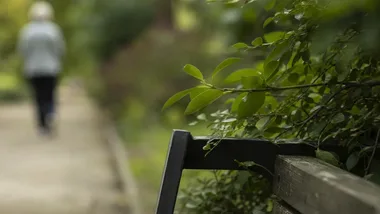 Park kieszonkowy przy Andersa. Tysiące nowych roślin i droga rowerowa