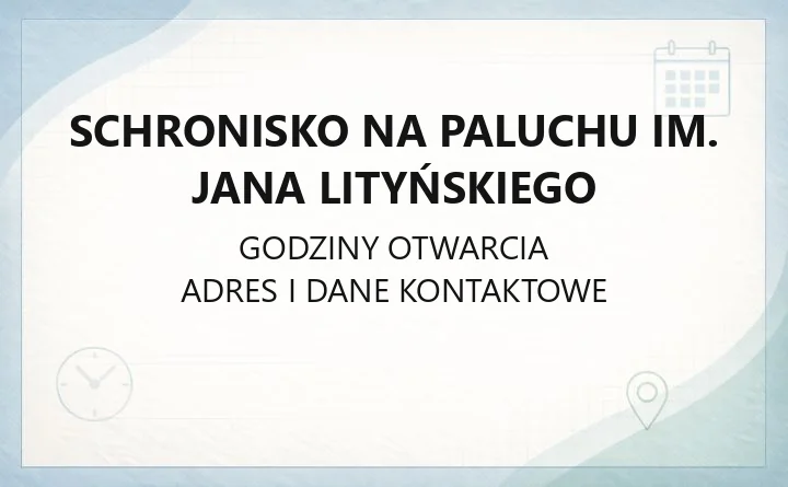 Schronisko na Paluchu im. Jana Lityńskiego - kontakt, adopcja, zgłoszenia zwierząt