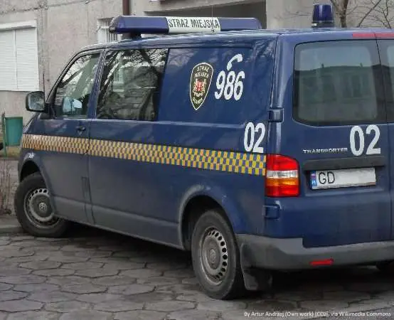 Zauważyli dym przed własnym posterunkiem - strażnicy ugasili pożar