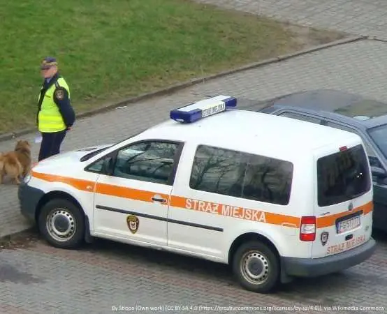 Medal dla Straży Miejskiej - wyróżnienie za wartę przy Grobie Nieznanego Żołnierza