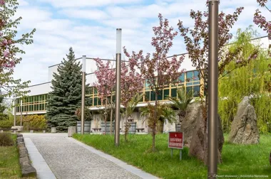 Wiśnie i kaliny przy Bibliotece Narodowej robią teraz najładniejsze wejście do wiosny