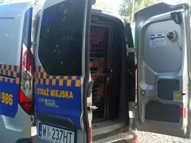 Spał w autobusie, a w kieszeni miał cudze dokumenty i tajemniczy telefon