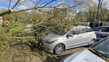 Wichura rzuciła drzewem w pięć aut i zablokowała ulicę