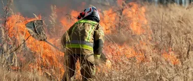 Rośnie liczba pożarów traw – straż przypomina o zakazie, karach i szybkim zgłaszaniu