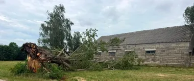 Burze na Mazowszu zostawiły zniszczenia. Wojewoda przypomina, gdzie szukać pomocy