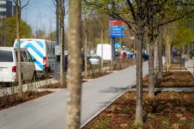 Marszałkowska po zmianach odsłania nowy rytm centrum Warszawy