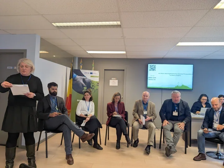 GreenScape CE – zieleń i błękitna infrastruktura jako odpowiedź miast