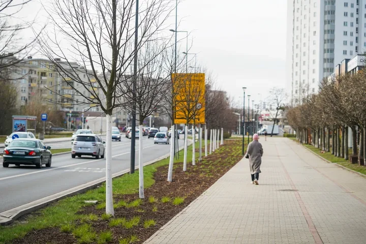 Na św. Wincentego wyrósł zielony pas, który zmienia całą ulicę